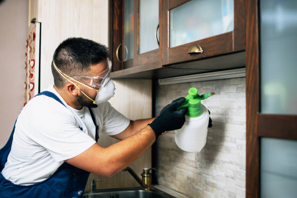 Best Wildlife Control Services  in South Coventry, CT