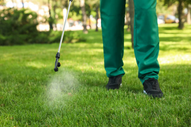 Best Termite Control Services  in South Coventry, CT