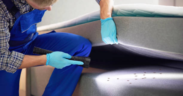 Best Rat Extermination Near Me  in South Coventry, CT