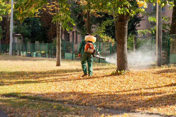 Best Rodent Control Near Me  in South Coventry, CT