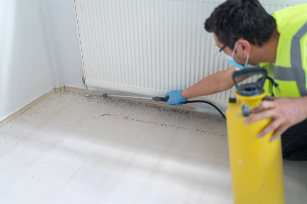 Best Exterminator Services  in South Coventry, CT